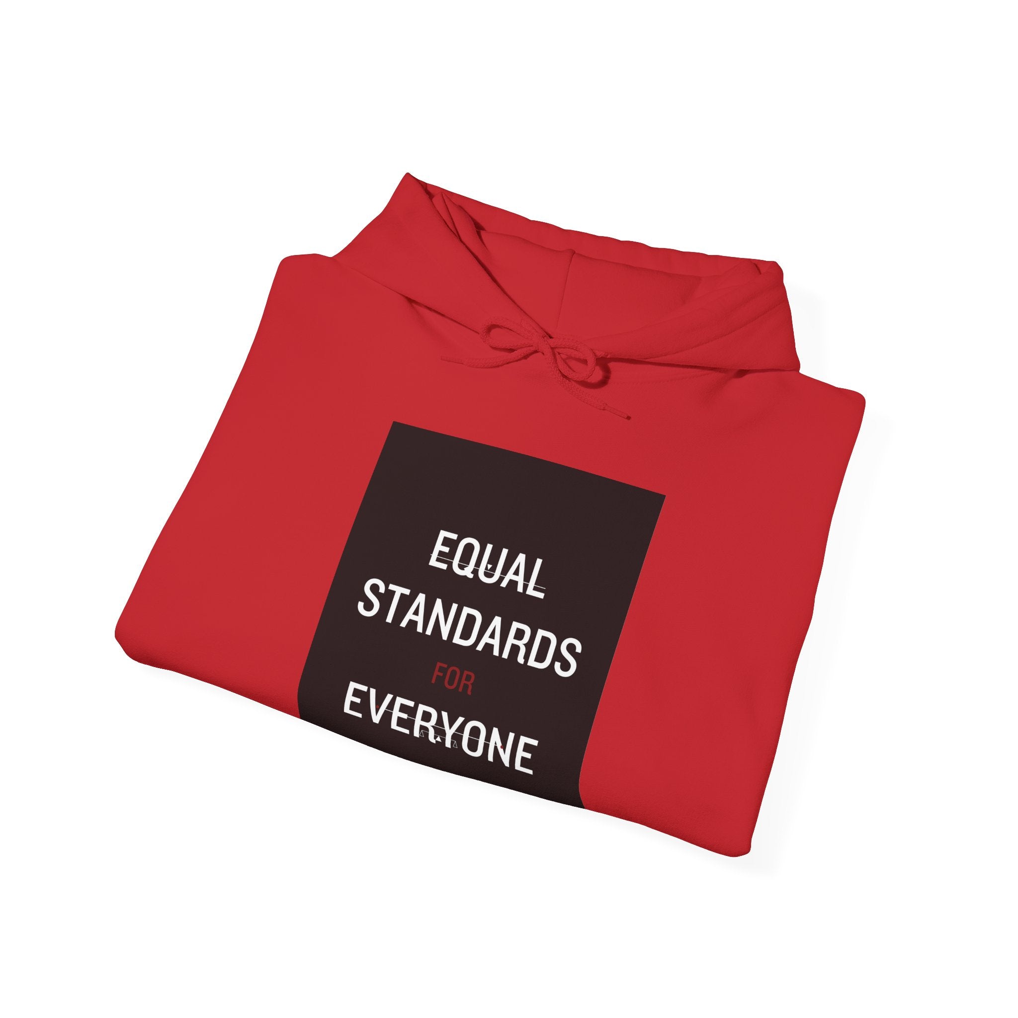 Equal Standards for Everyone Hoodie — Social Justice Statement Sweatshirt