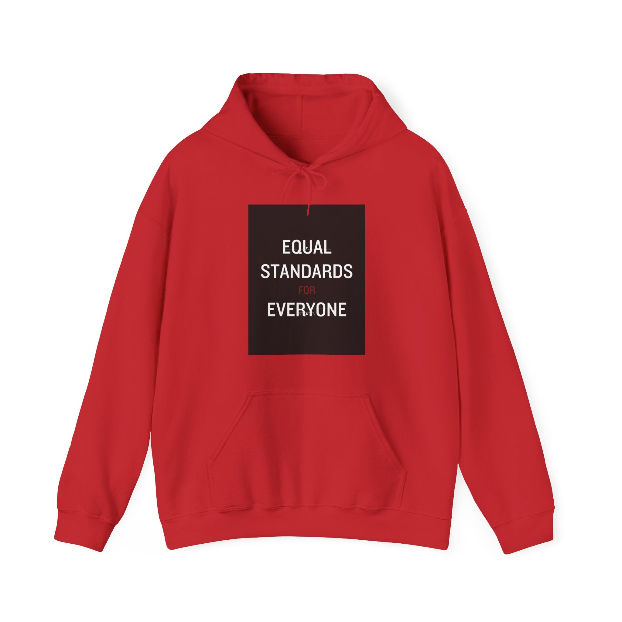 Equal Standards for Everyone Hoodie — Social Justice Statement Sweatshirt
