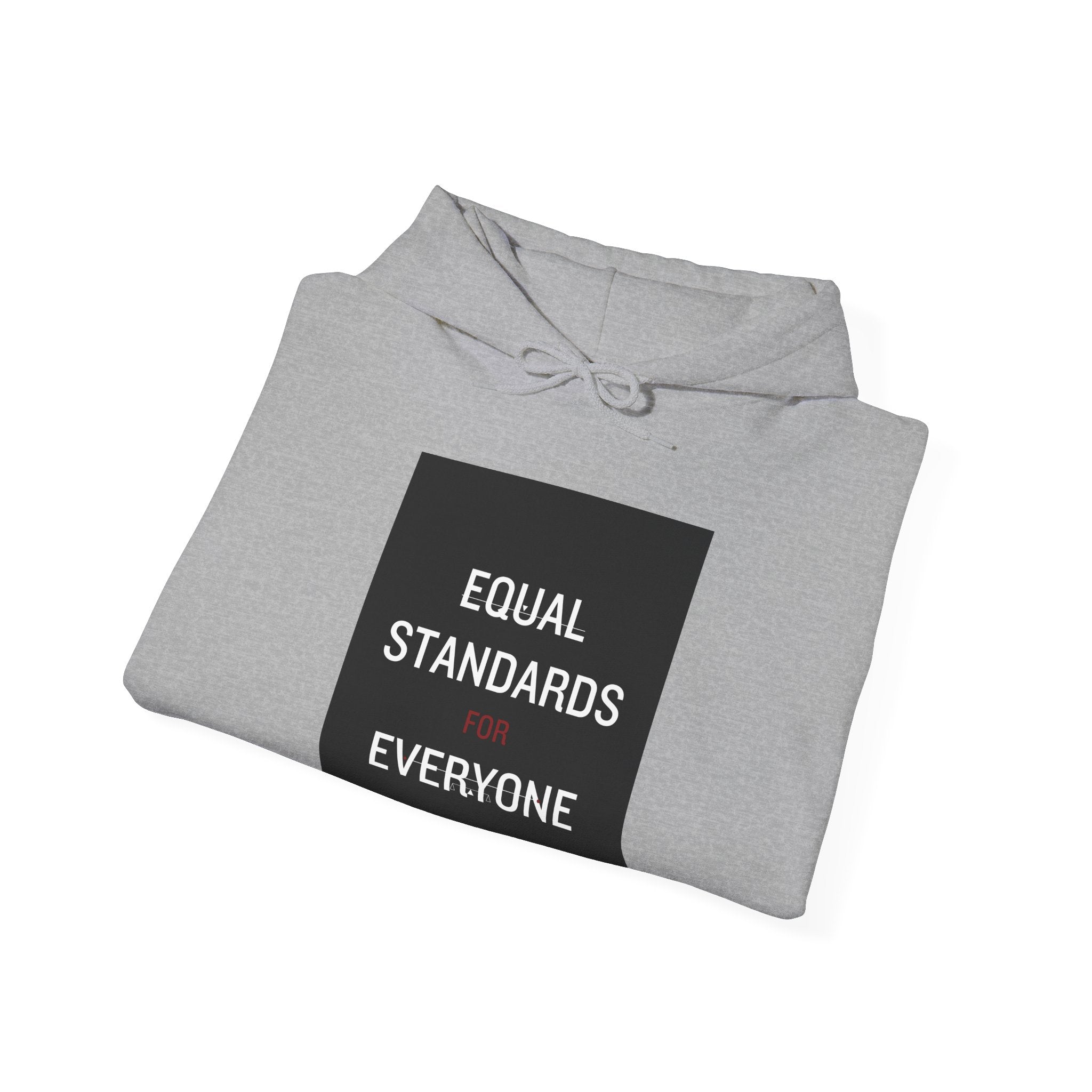 Equal Standards for Everyone Hoodie — Social Justice Statement Sweatshirt