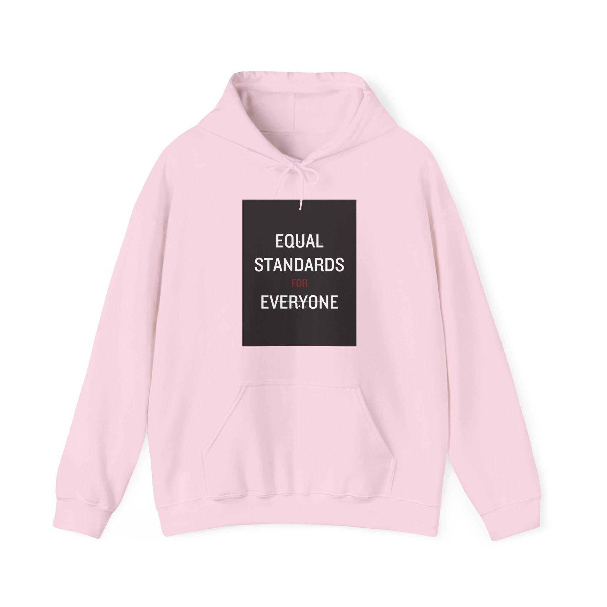 Equal Standards for Everyone Hoodie — Social Justice Statement Sweatshirt
