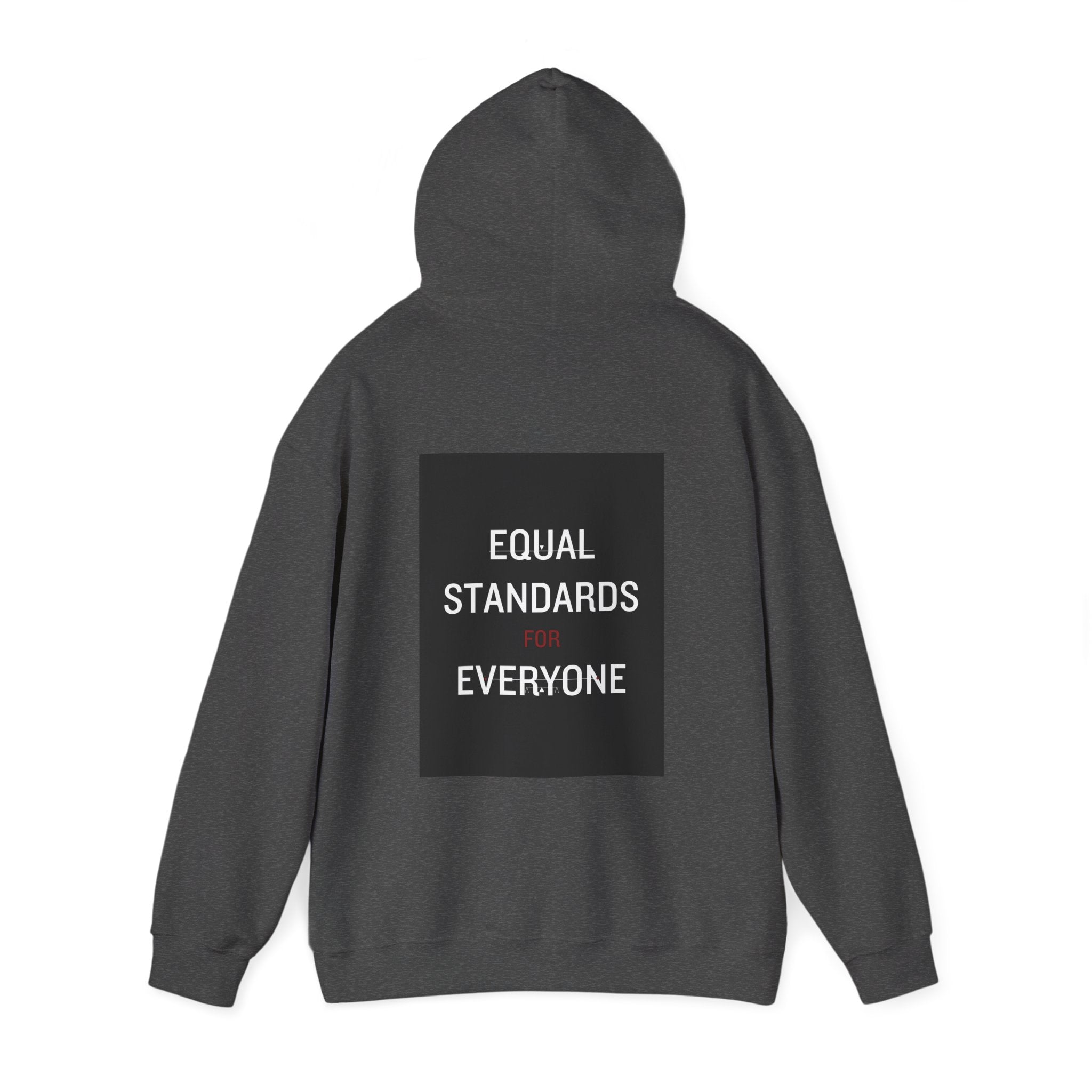 Equal Standards for Everyone Hoodie — Social Justice Statement Sweatshirt