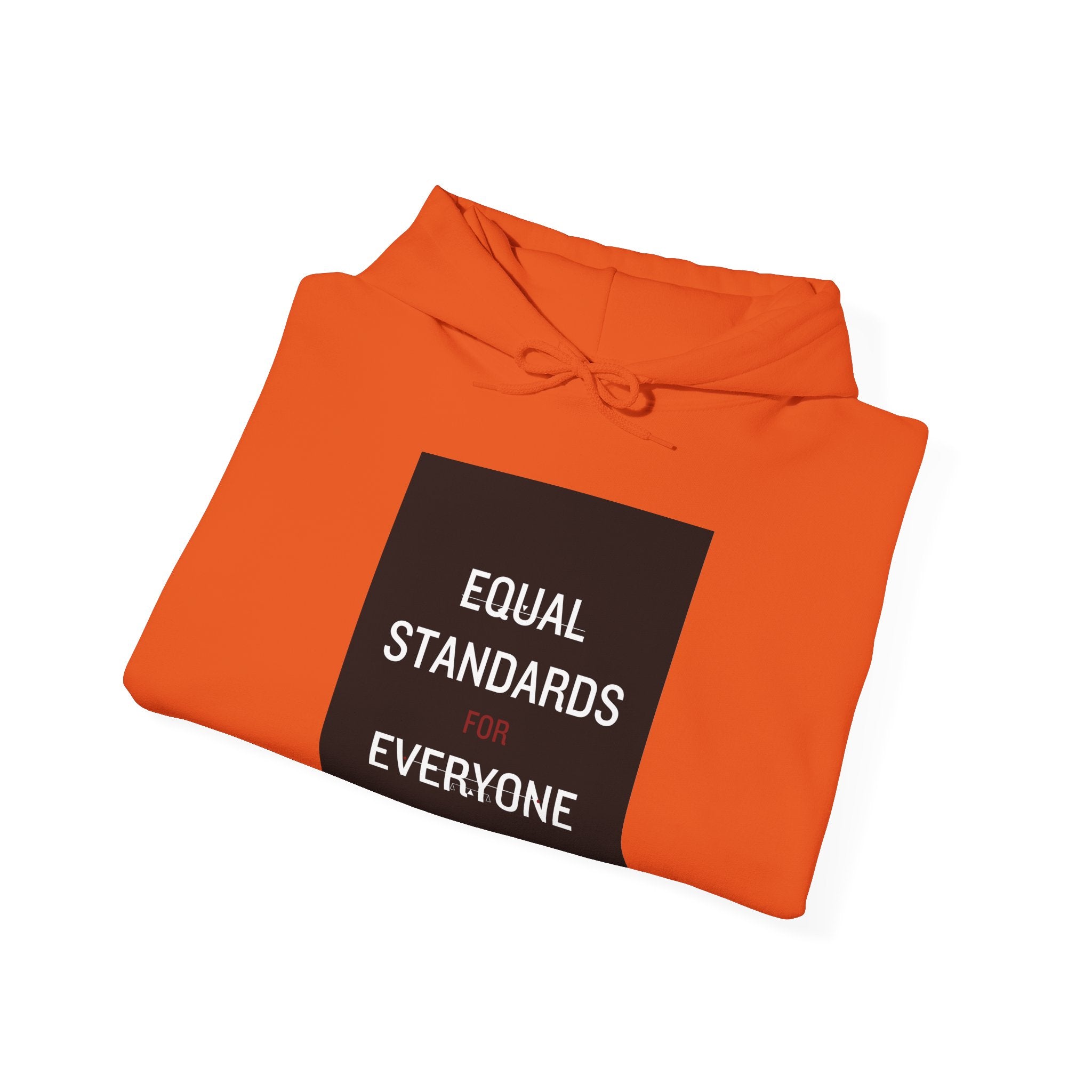 Equal Standards for Everyone Hoodie — Social Justice Statement Sweatshirt