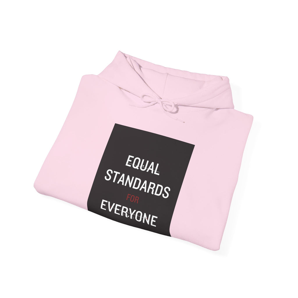 Equal Standards for Everyone Hoodie — Social Justice Statement Sweatshirt