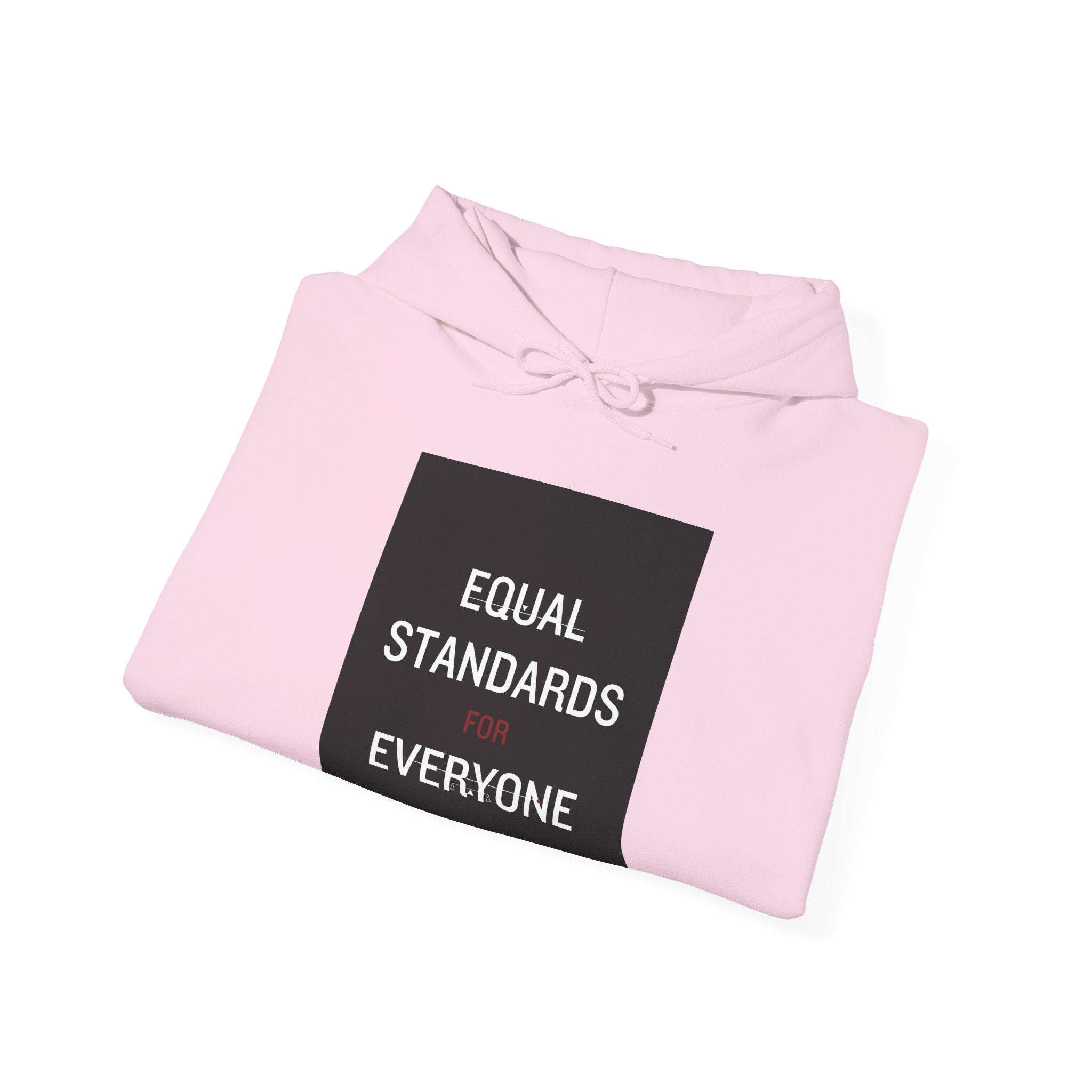 Equal Standards for Everyone Hoodie — Social Justice Statement Sweatshirt