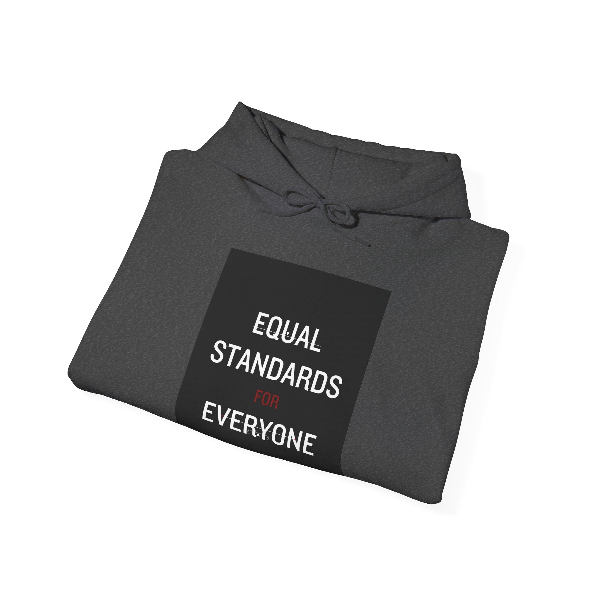 Equal Standards for Everyone Hoodie — Social Justice Statement Sweatshirt