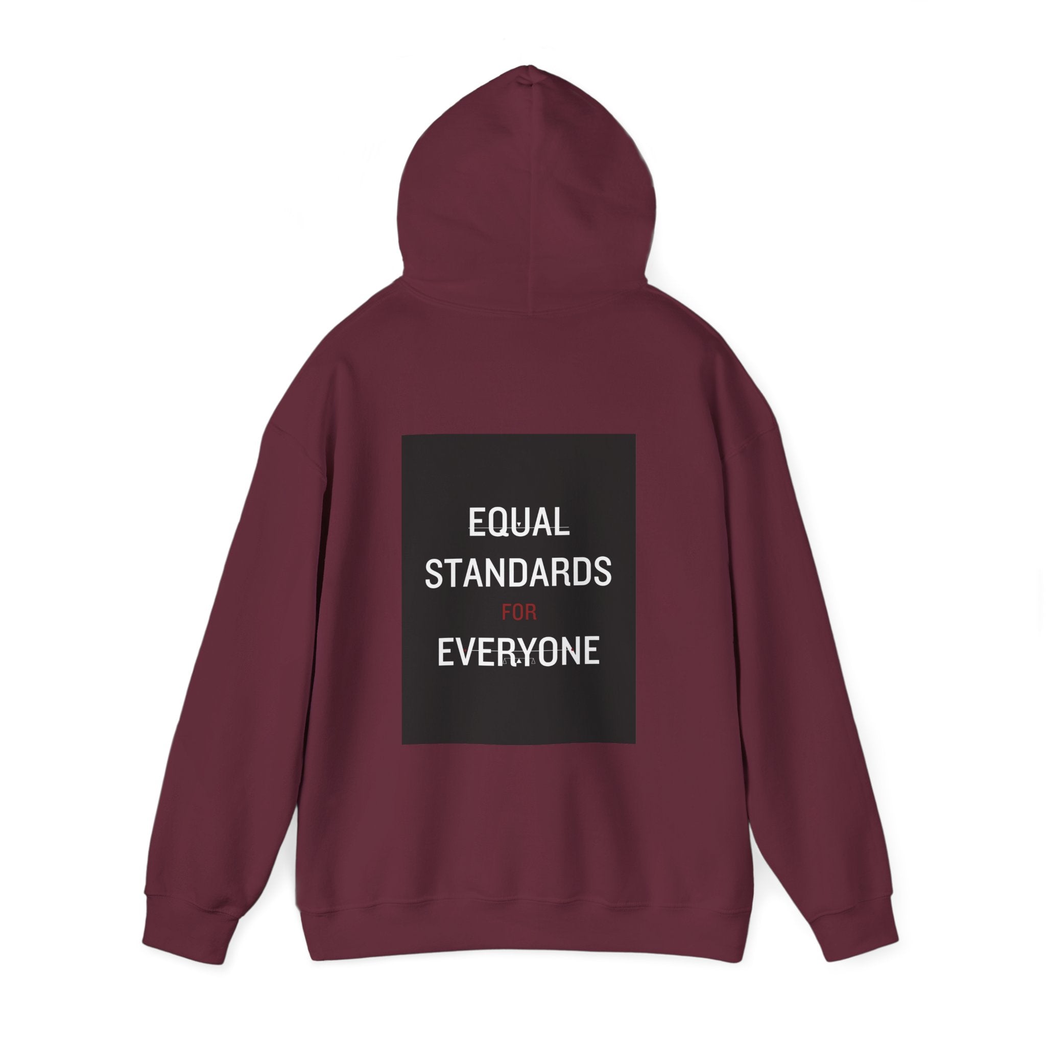 Equal Standards for Everyone Hoodie — Social Justice Statement Sweatshirt
