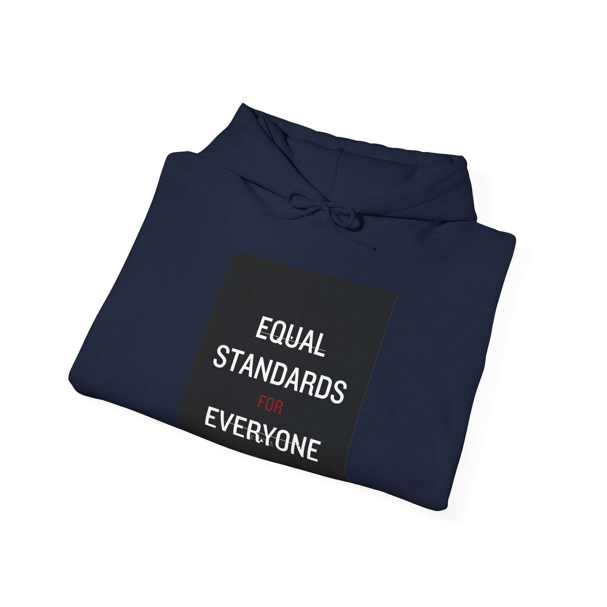 Equal Standards for Everyone Hoodie — Social Justice Statement Sweatshirt