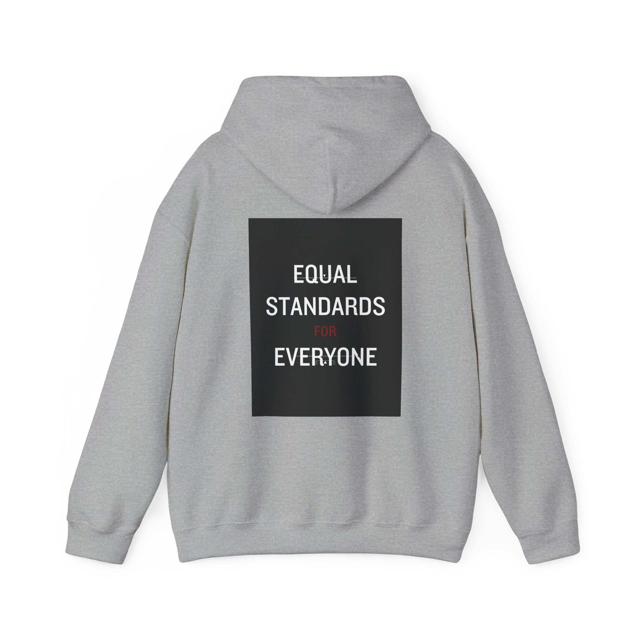 Equal Standards for Everyone Hoodie — Social Justice Statement Sweatshirt