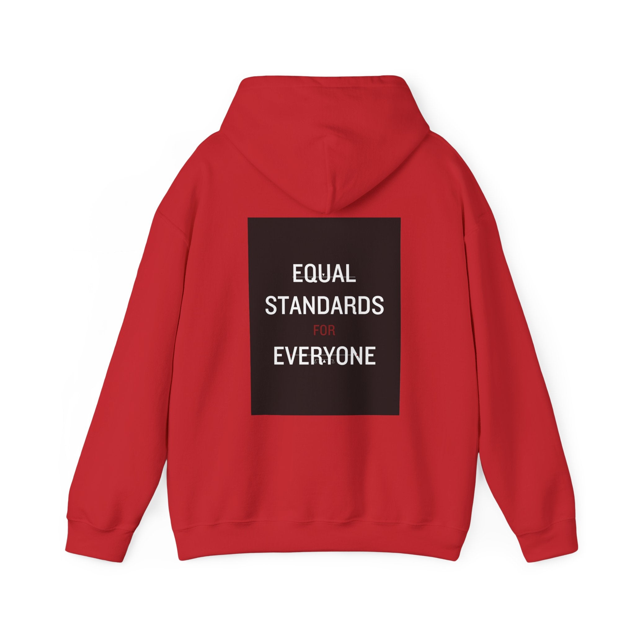 Equal Standards for Everyone Hoodie — Social Justice Statement Sweatshirt