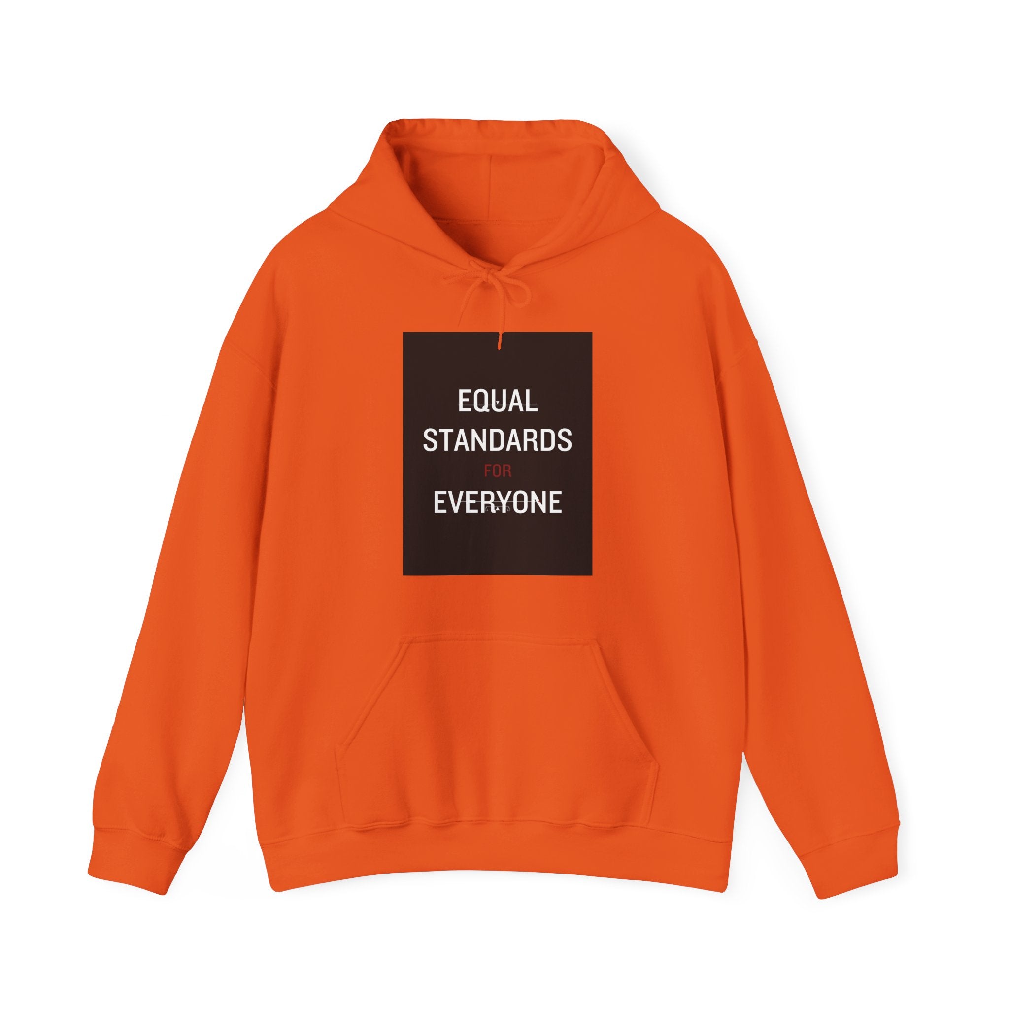 Equal Standards for Everyone Hoodie — Social Justice Statement Sweatshirt