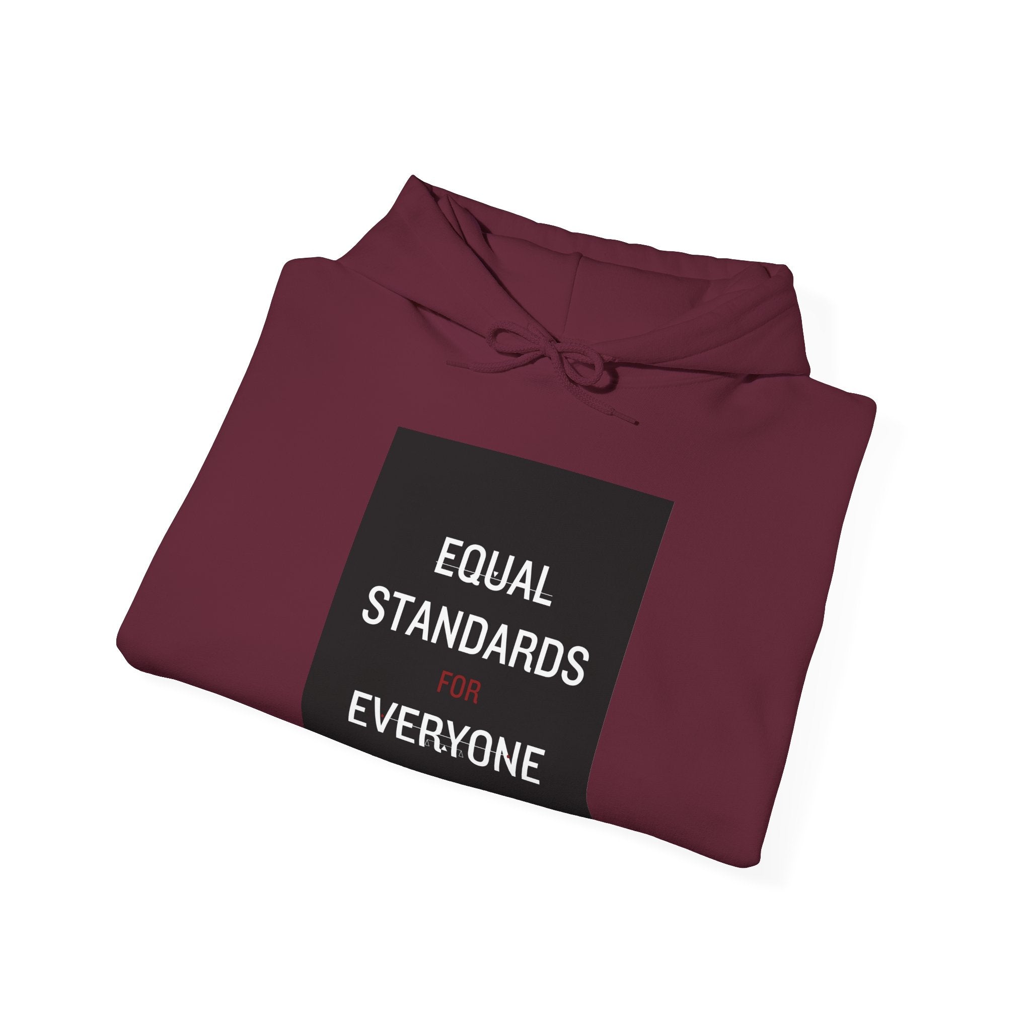 Equal Standards for Everyone Hoodie — Social Justice Statement Sweatshirt
