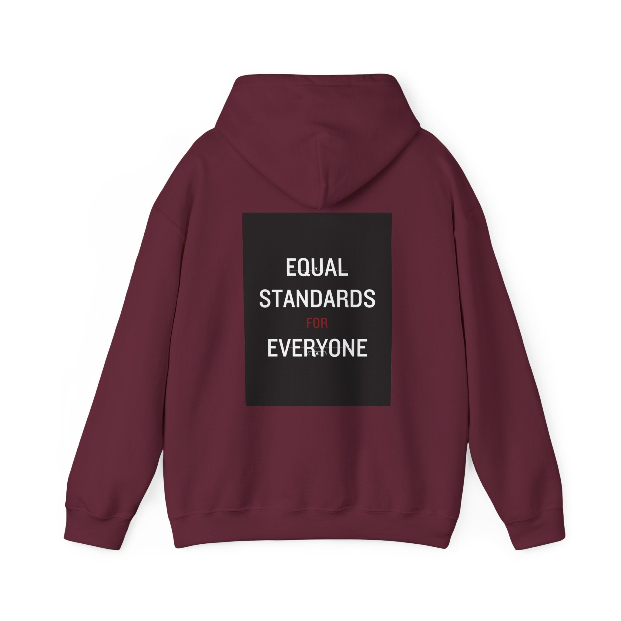 Equal Standards for Everyone Hoodie — Social Justice Statement Sweatshirt