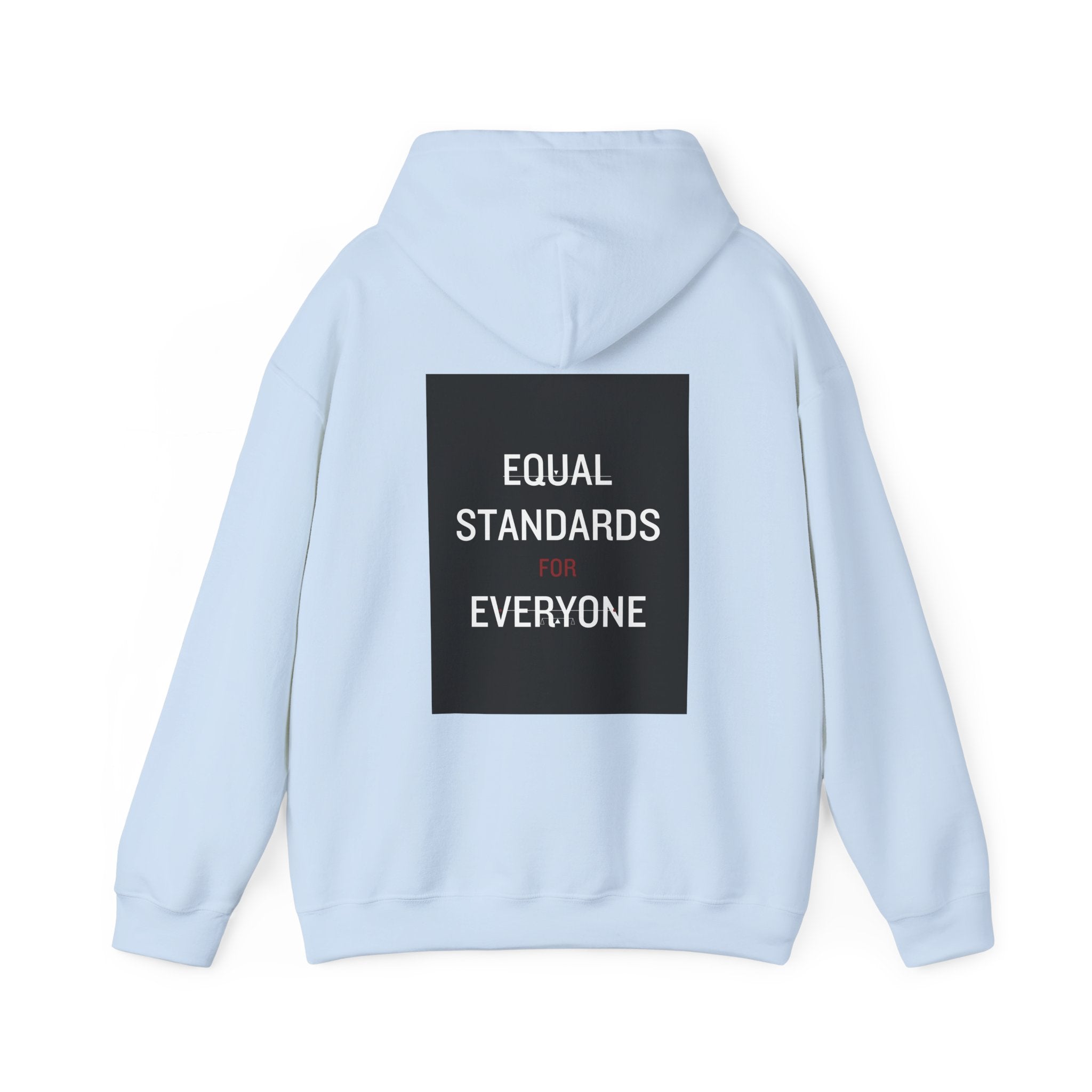 Equal Standards for Everyone Hoodie — Social Justice Statement Sweatshirt