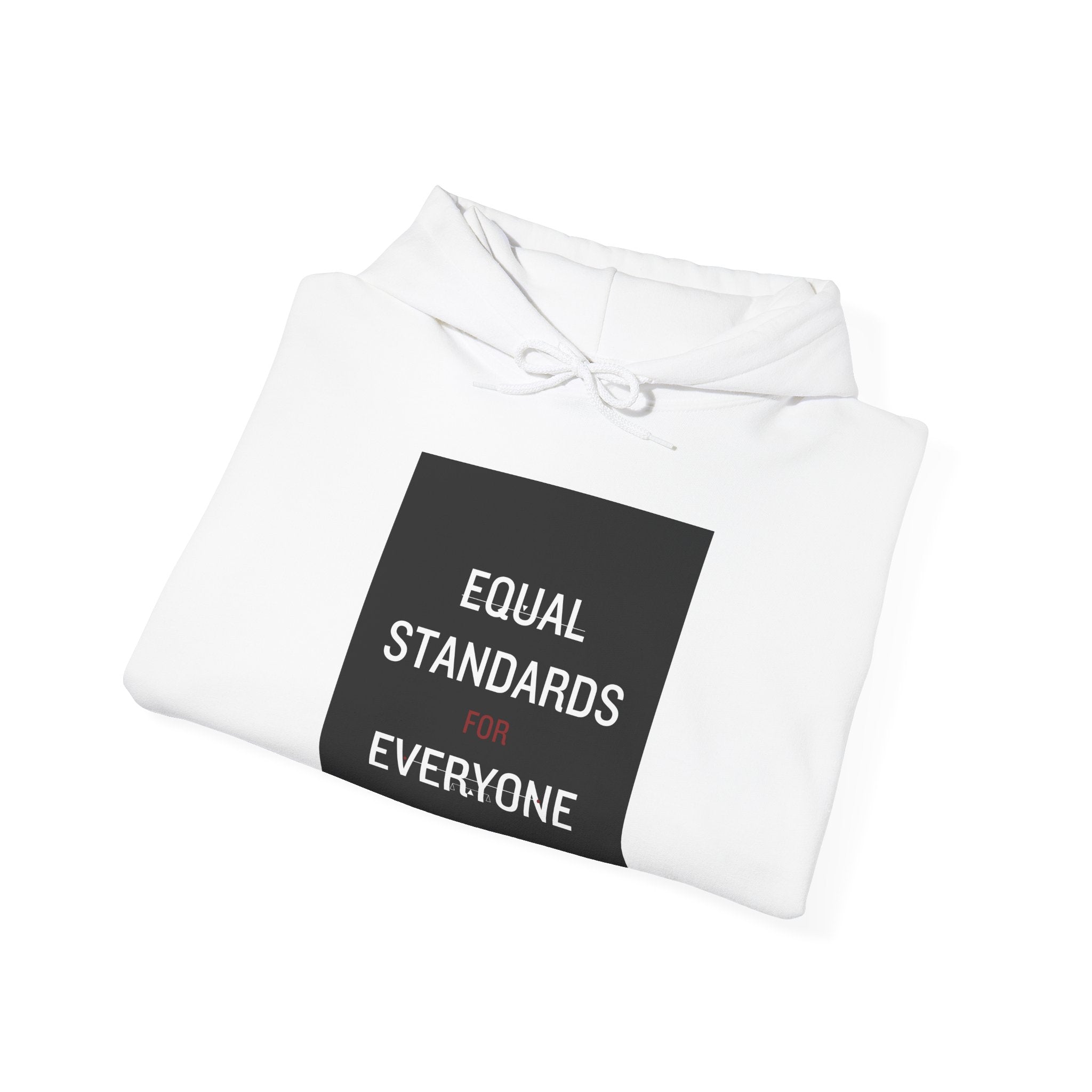 Equal Standards for Everyone Hoodie — Social Justice Statement Sweatshirt