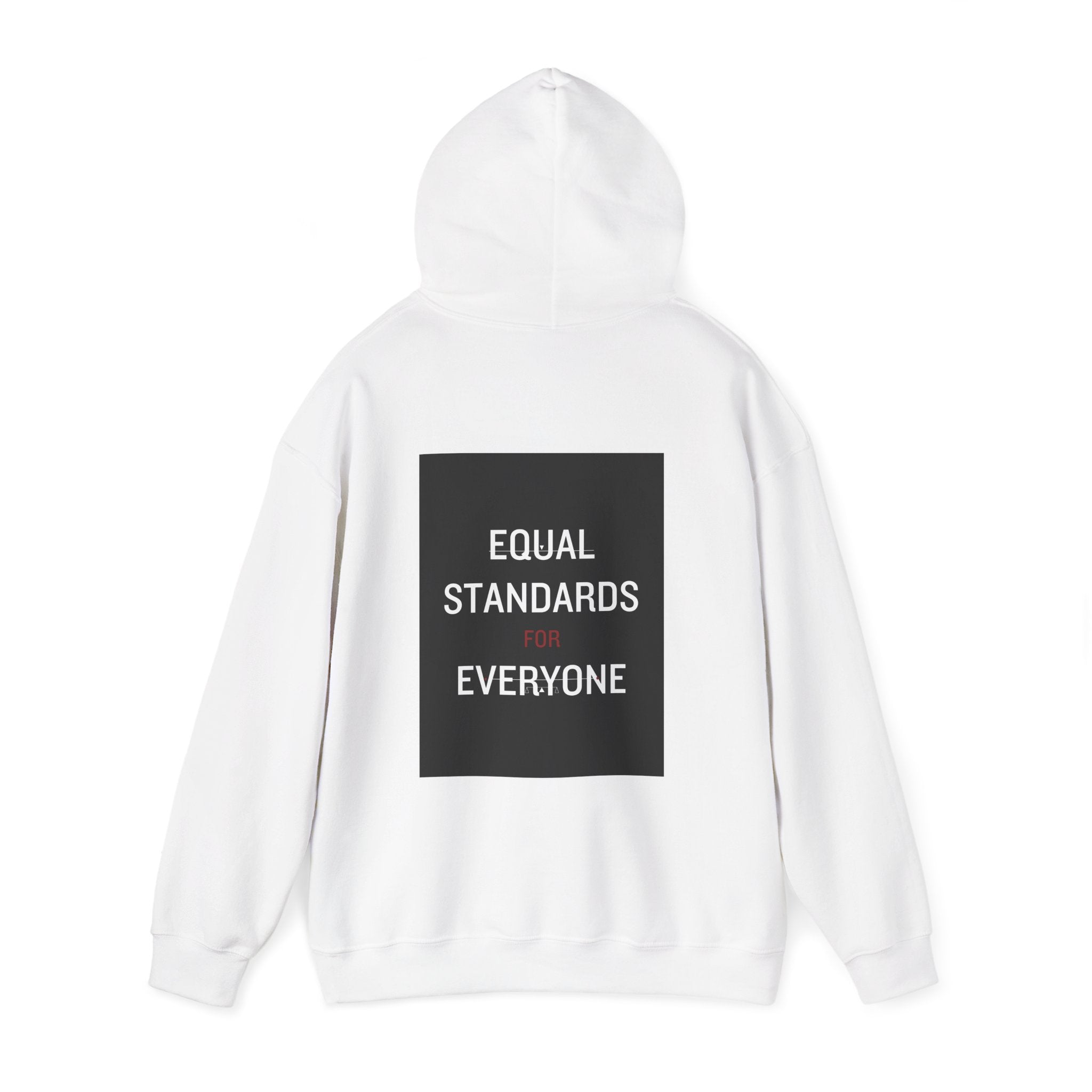 Equal Standards for Everyone Hoodie — Social Justice Statement Sweatshirt