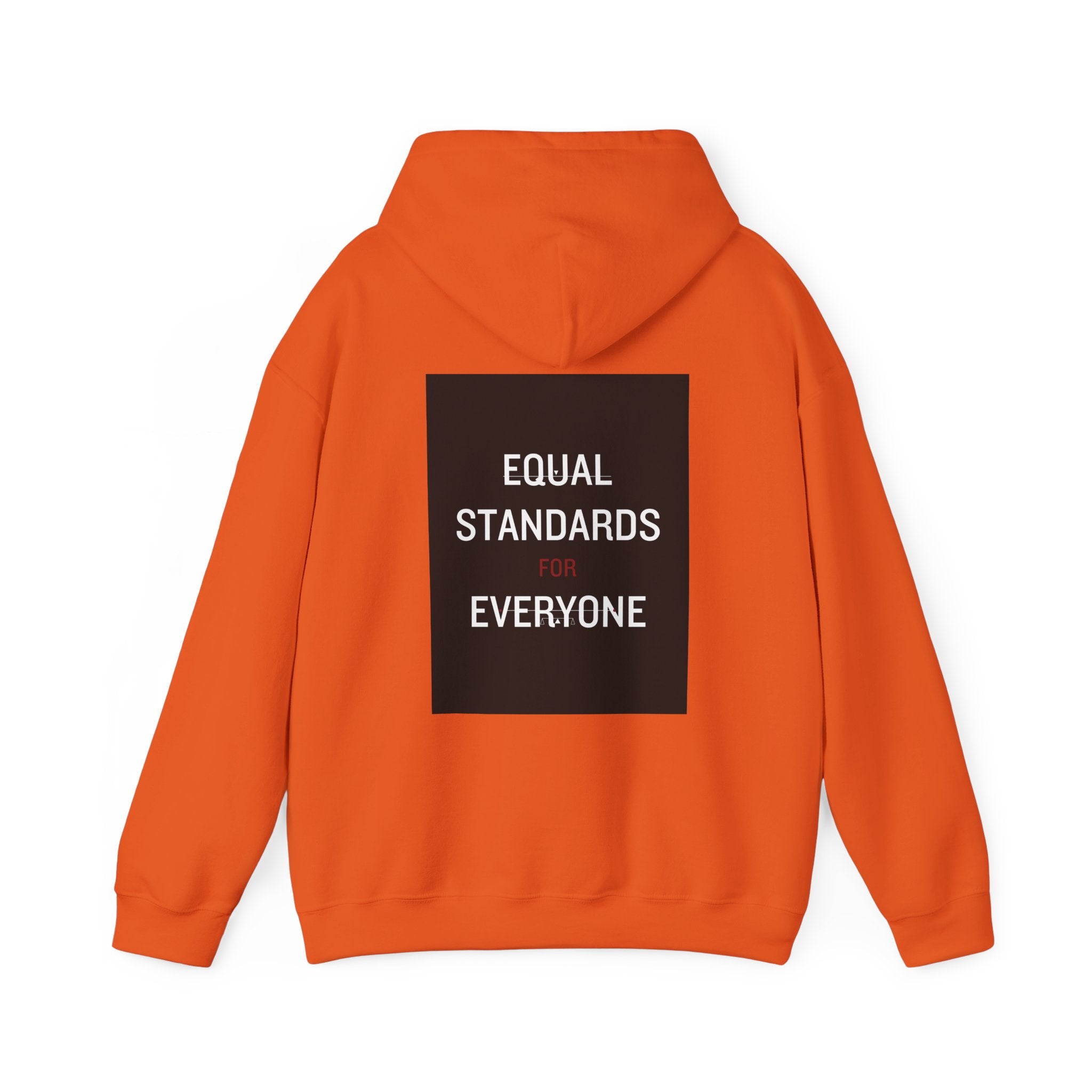 Equal Standards for Everyone Hoodie — Social Justice Statement Sweatshirt