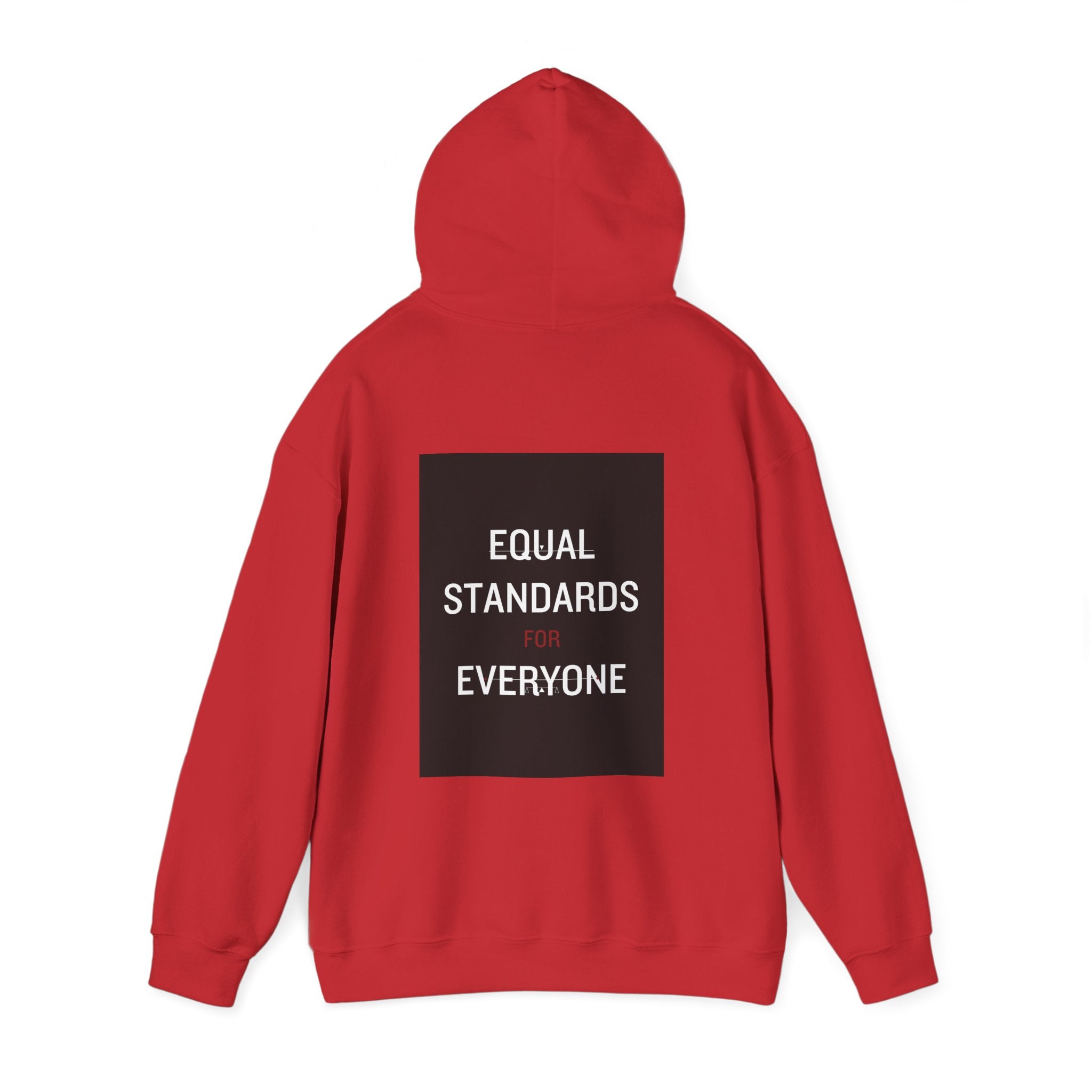 Equal Standards for Everyone Hoodie — Social Justice Statement Sweatshirt