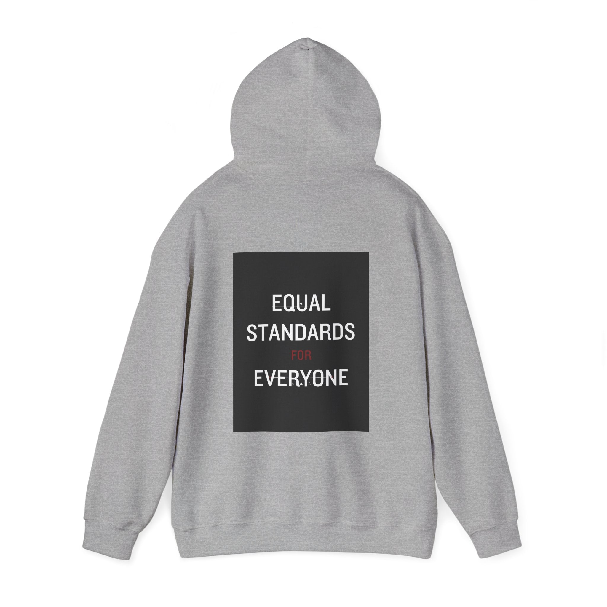 Equal Standards for Everyone Hoodie — Social Justice Statement Sweatshirt