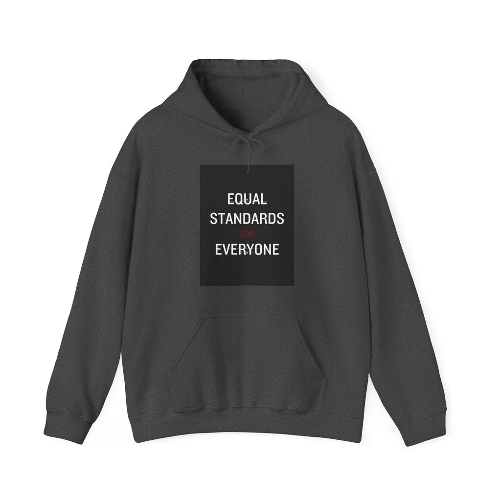Equal Standards for Everyone Hoodie — Social Justice Statement Sweatshirt